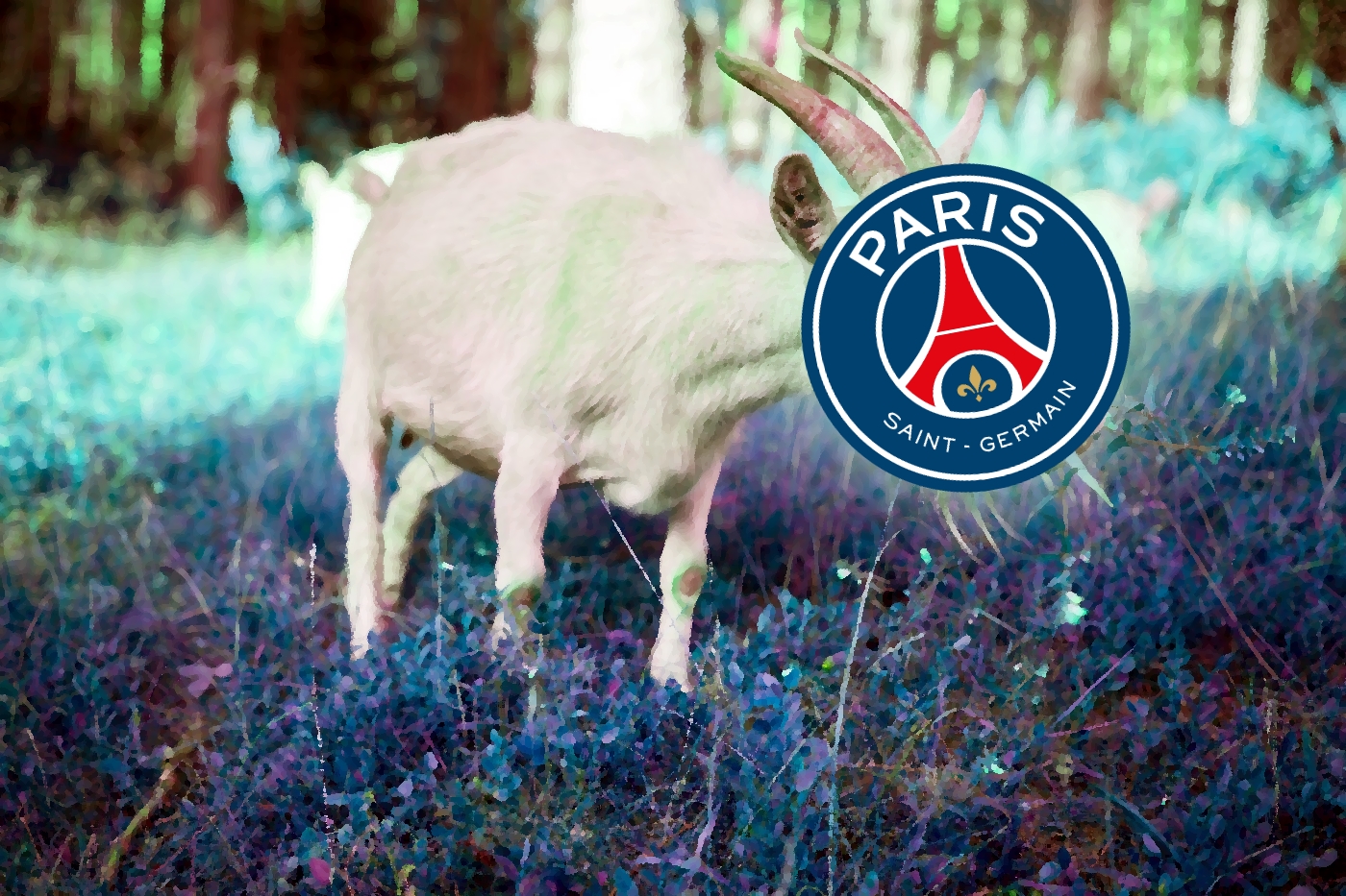 Messi Finds Neymar and Leipzig Strikes From Distance: Top 5 Weekend Goals