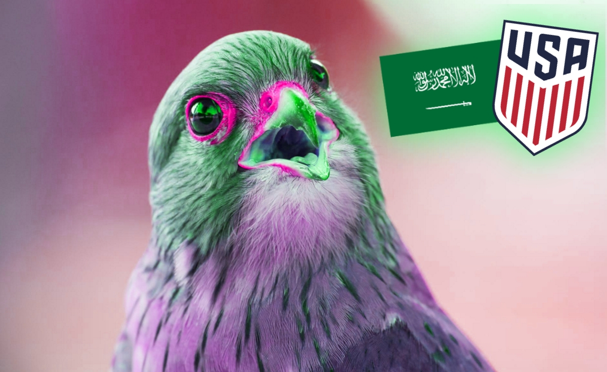 Green Falcons and Bald Eagles: The US Guide to Saudi Arabia vs. the USMNT